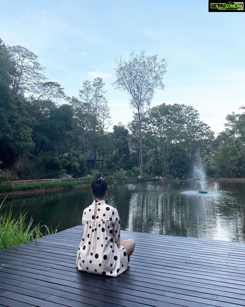 Meera Chopra Instagram - My love for nature keeps bringing me back to jungles!! #nature #wilderness #jungles #mountains #water #holiday The IBNII Coorg