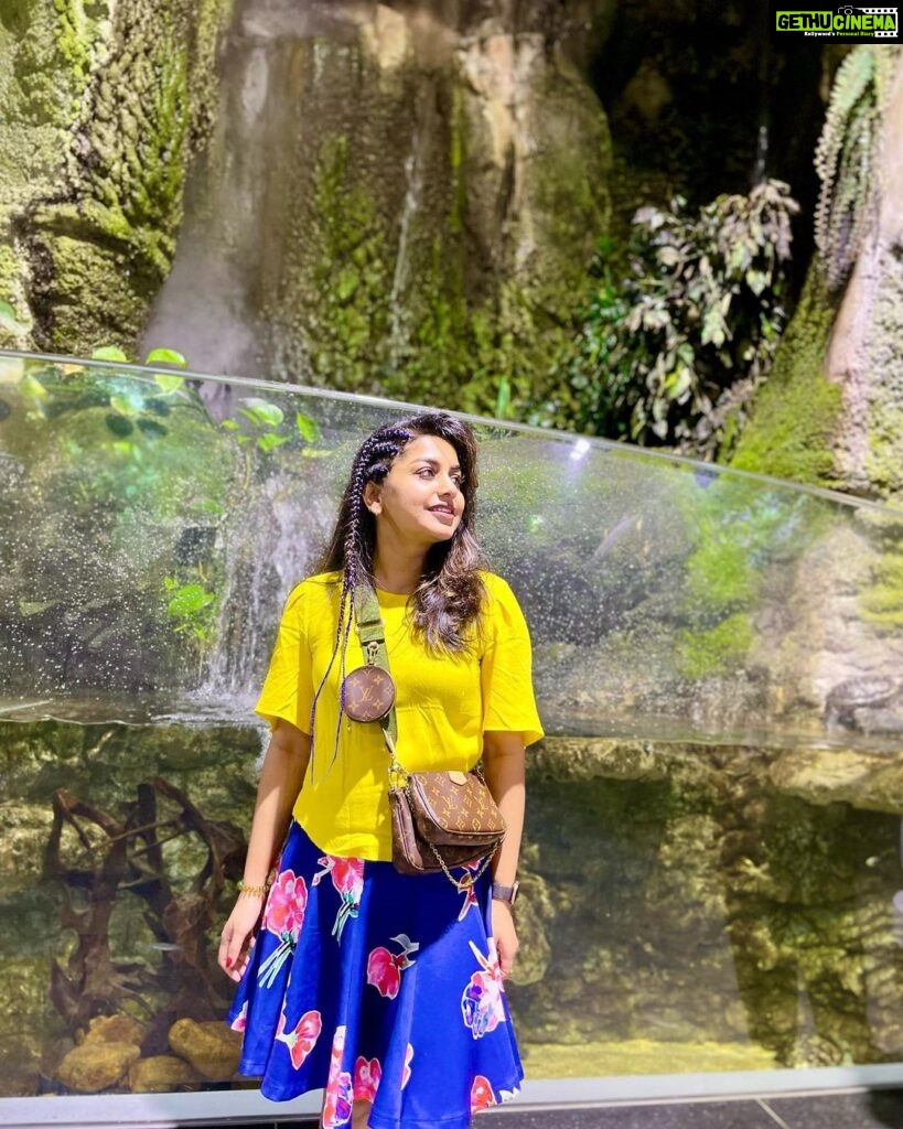 Meera Nandan Instagram - Go where you feel most alive! #saturday #nature #dubaiaquarium #dubaimall #happy #positivevibes #love #allheart #happyweekend #dubai #mydubai #instagood