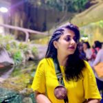 Meera Nandan Instagram - Wondering wanderer Dubai Aquarium & Underwater Zoo by Emaar