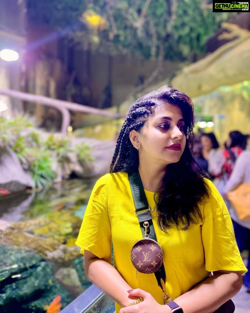 Meera Nandan Instagram - Wondering wanderer Dubai Aquarium & Underwater Zoo by Emaar