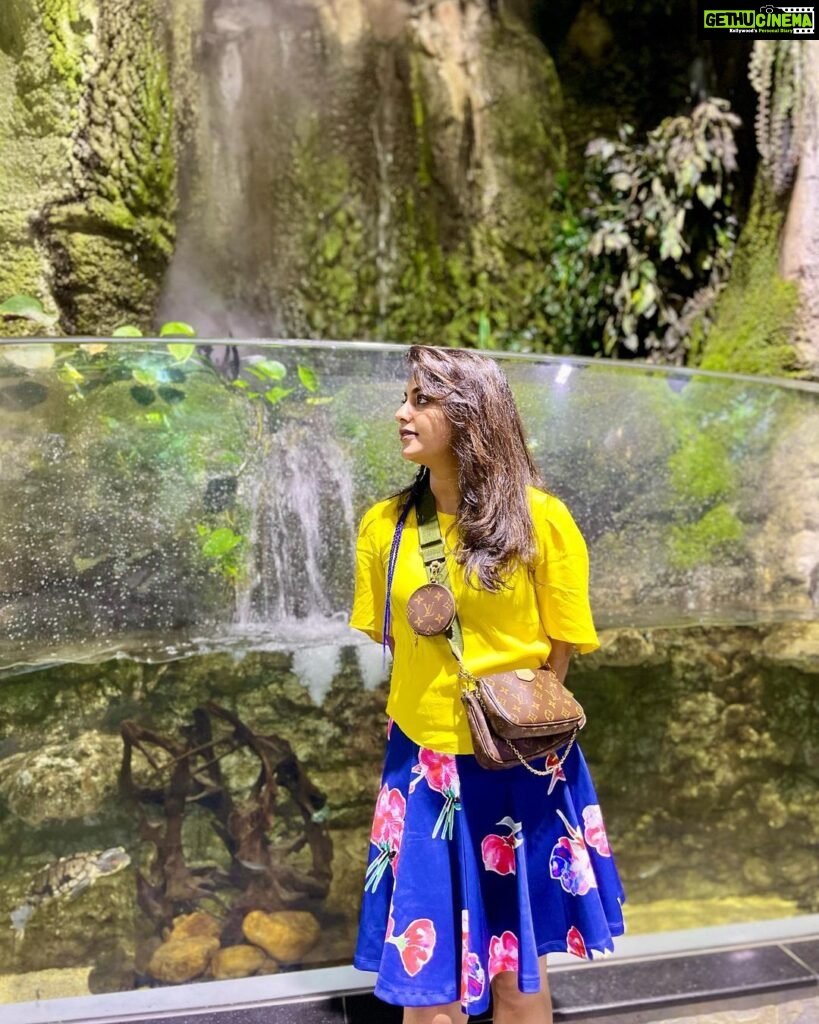 Meera Nandan Instagram - Go where you feel most alive! #saturday #nature #dubaiaquarium #dubaimall #happy #positivevibes #love #allheart #happyweekend #dubai #mydubai #instagood