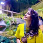Meera Nandan Instagram - Wondering wanderer Dubai Aquarium & Underwater Zoo by Emaar