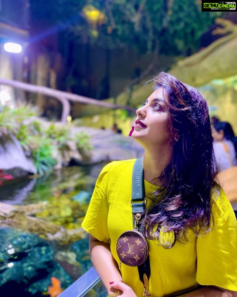 Meera Nandan Instagram - Wondering wanderer Dubai Aquarium & Underwater Zoo by Emaar