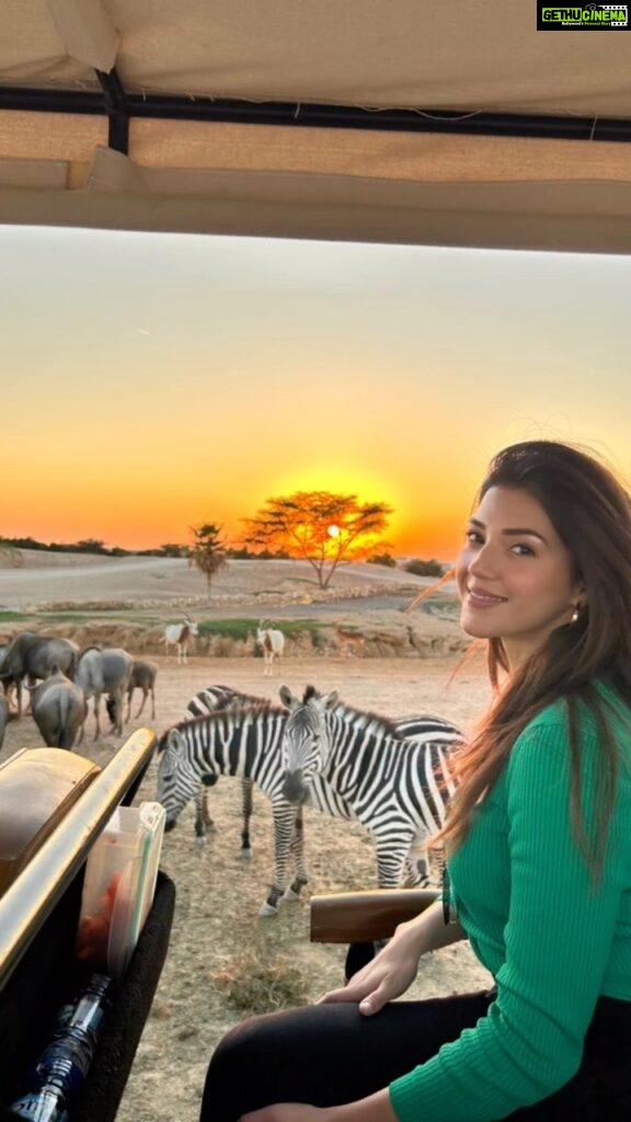 Mehrene Kaur Pirzada Instagram - To them, are we animals ? Safari mode 🟢 #safari Al Ain Zoo