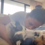 Mimi Chakraborty Instagram – Happiness is 🐕 🐺 
Had a small window in btw shoot so dropped in to meet my babies who were napping post lunch in a  chilled room.What life ha🪻🐕🐺