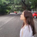 Minissha Lamba Instagram - 🤍