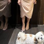 Minissha Lamba Instagram - A Night Out, A Birthday Girl, A Vegetable Dimsum, An Iced Sweet Cocktail, Zoey posing and @ikichic_official