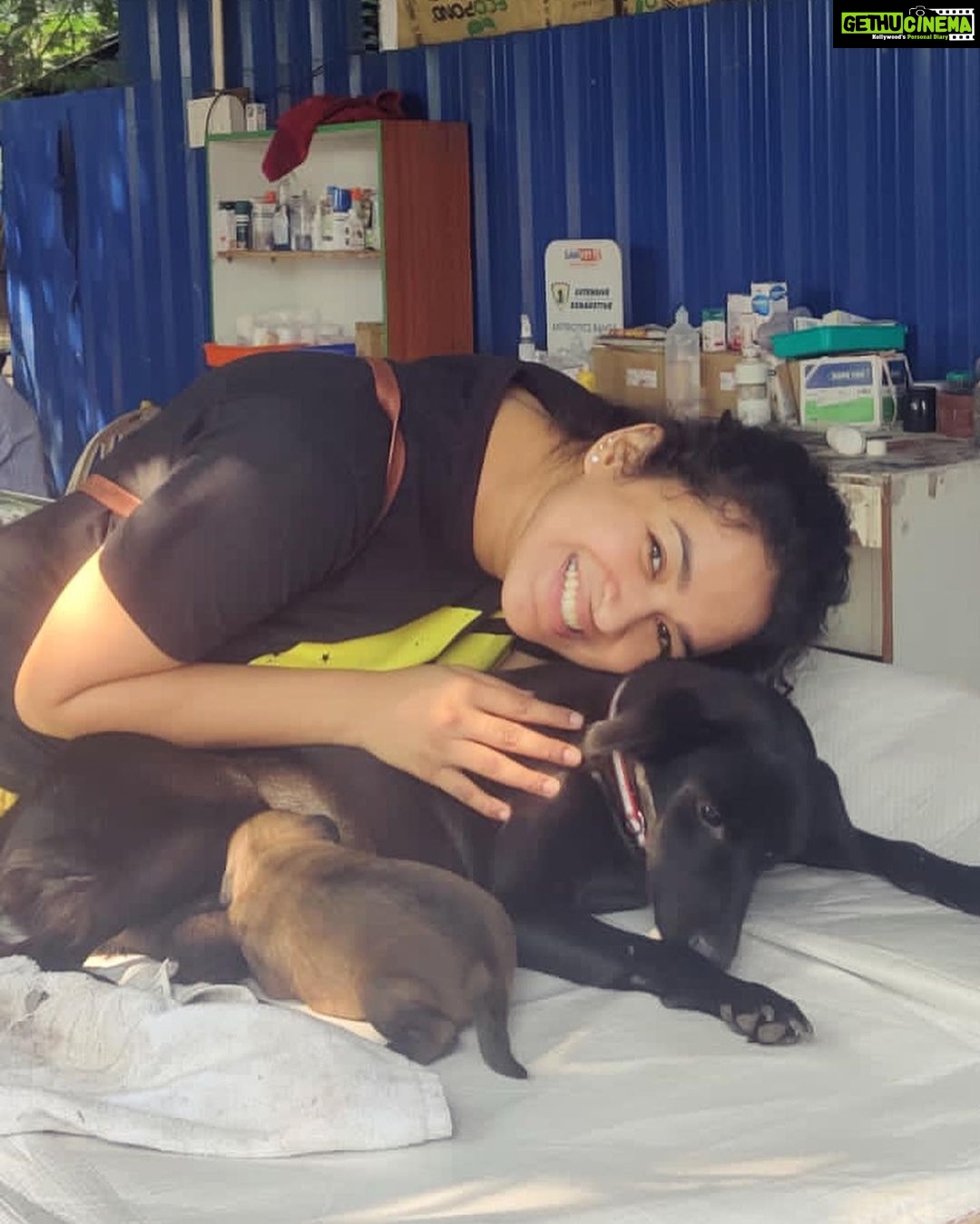 Misha Ghoshal Instagram - Meet Baby (Mother) and Biscoff (son) ❤️❤️❤️❤️❤️❤️❤️