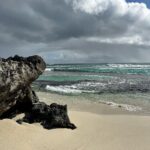 Mithila Palkar Instagram - Rottnest da best! 🥳 @westernaustralia #wathedreamstate @rottnestislandwa @visitperth @cityofperth #rottnestisland #rottnestislandwa #perth #australia Rottnest Island