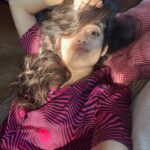 Mithila Palkar Instagram - Jet lagging 💤