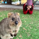 Mithila Palkar Instagram - Rottnest da best! 🥳 @westernaustralia #wathedreamstate @rottnestislandwa @visitperth @cityofperth #rottnestisland #rottnestislandwa #perth #australia Rottnest Island