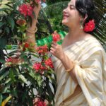 Miya George Instagram – Vishu vibe 🌼 saree by @amyraonline