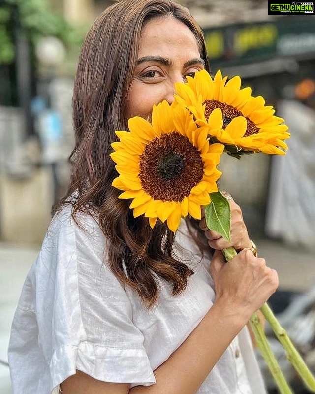Monica Khanna Instagram - Accept the responsibility of being yourself as you are,with all that is good and with all that is bad,with all that is BEAUTIFUL and that which is NOT BEAUTIFUL In that acceptance a transcendence happens and one becomes free.... #instapost #instagram #sunflower #yellow #yellowflowers #yellow #instagood #trending #trendingreels #trendingreels #loveandlive #photooftheday #happiness