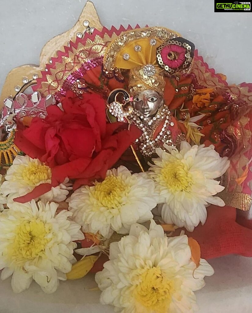 Mouni Roy Instagram - Happyyyy birthday to my Krishna 🦚🌞🌙🌟 happy janmashtami everyone ♥️ 1. My laddoo gopal 2. @anishavarma s laddoo gopal 3. @shivaani_malik_singh s laddoo gopal 🌸Sucha happy day today🌸 HARE KRISHNA HARI OM