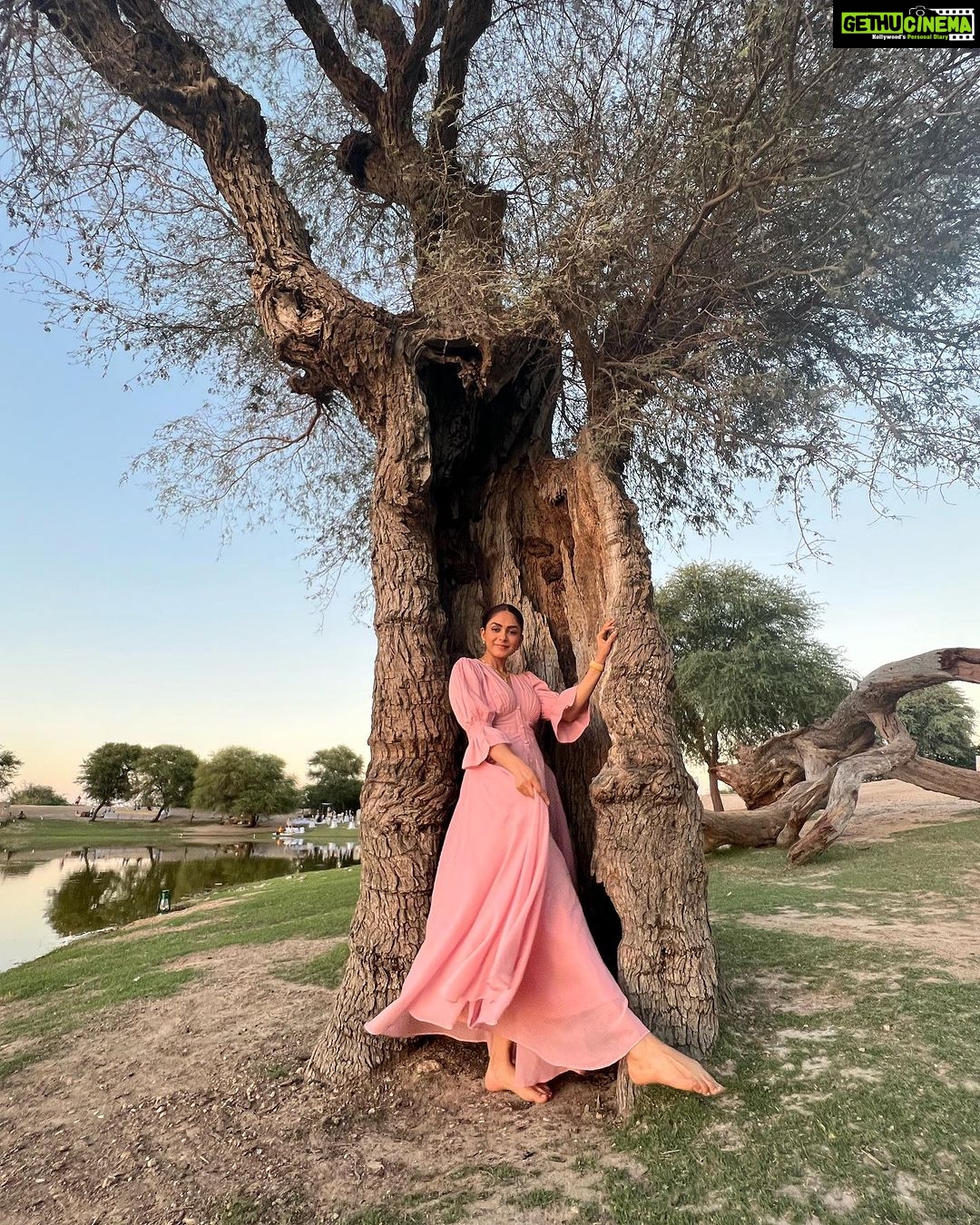 Mrunal Thakur Instagram - 🌅🦋💕🌻