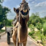 Mukti Mohan Instagram - Sab memories ek taraf Tuna ki smile ek taraf 🤌🏻🐪🤓