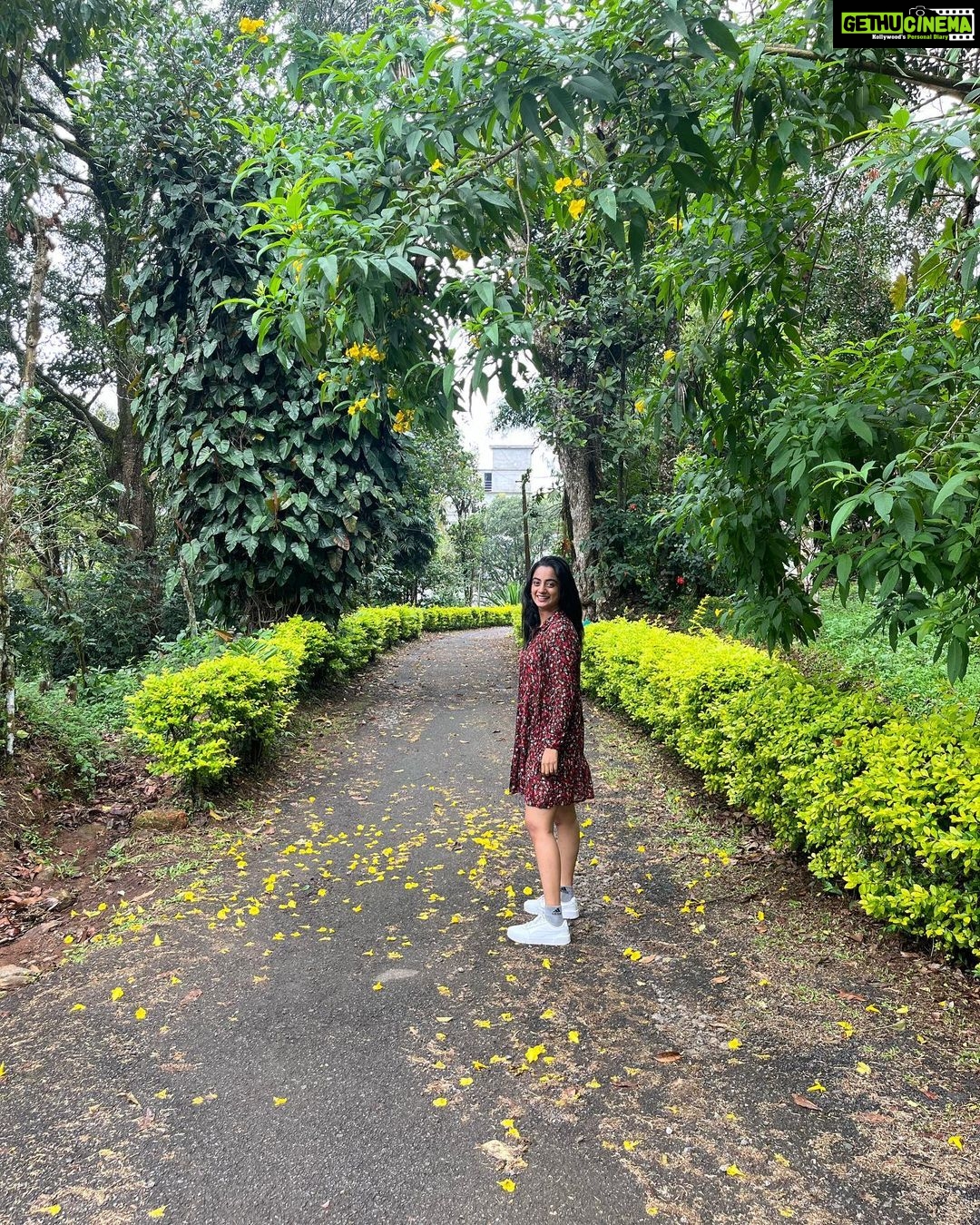 Namitha Pramod Instagram - ☘️❣️ I have always loved organic farming and locations near to nature without affecting our ecosystems. @ambadyestatemnr is my newfound love ❤️ #appreciationpost #nature #organic Ambady Estates