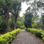 Namitha Pramod Instagram - ☘️❣️ I have always loved organic farming and locations near to nature without affecting our ecosystems. @ambadyestatemnr is my newfound love ❤️ #appreciationpost #nature #organic Ambady Estates