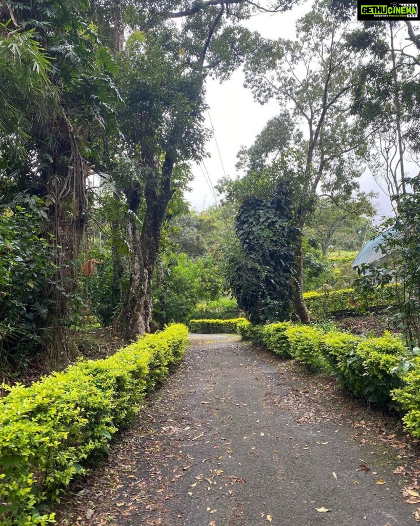 Namitha Pramod Instagram - ☘️❣️ I have always loved organic farming and locations near to nature without affecting our ecosystems. @ambadyestatemnr is my newfound love ❤️ #appreciationpost #nature #organic Ambady Estates
