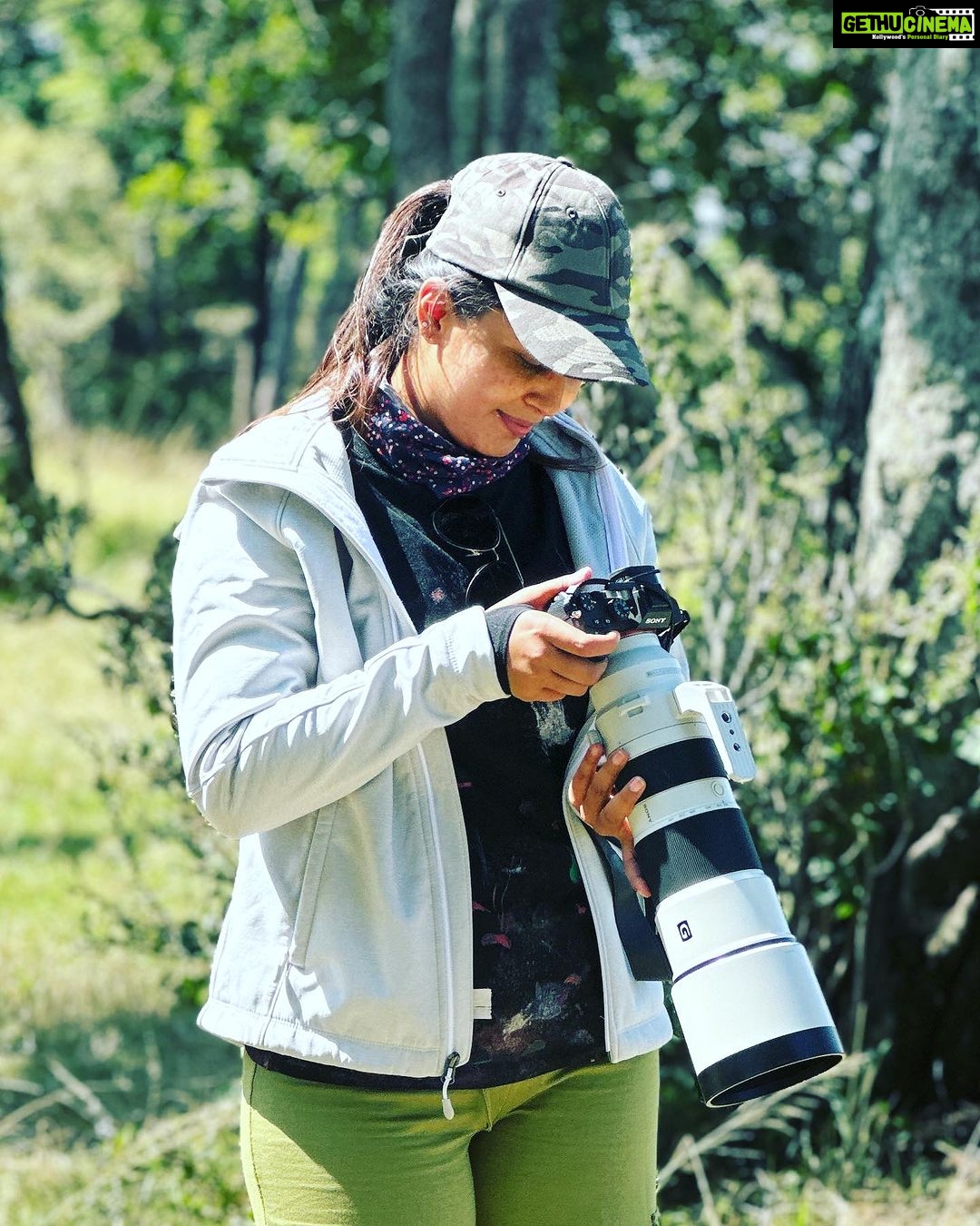 Neha Gowda Instagram - Cameras are amazing tools for capturing memories and moments. They allow us to freeze time and look back on our experiences. I love taking photos and videos with my camera, especially when I'm exploring new places. There are so many different types of cameras out there, from simple point-and-shoot models to professional-grade DSLRs. No matter what type of camera you use, the most important thing is to have fun and enjoy the process of capturing memories. So I was recommended by @dr.shashank.b.gowda to use a 200/400mm Sony lens to capture the animals in Masai Mara, and i rented them from @pixception_rentals ..Renting the lenses was a great decision because i was able to get close and personal with the animals and observe their behavior. It was an incredible experience . Thank you @dr.shashank.b.gowda @pixception_rentals Masai Mara National Reserve