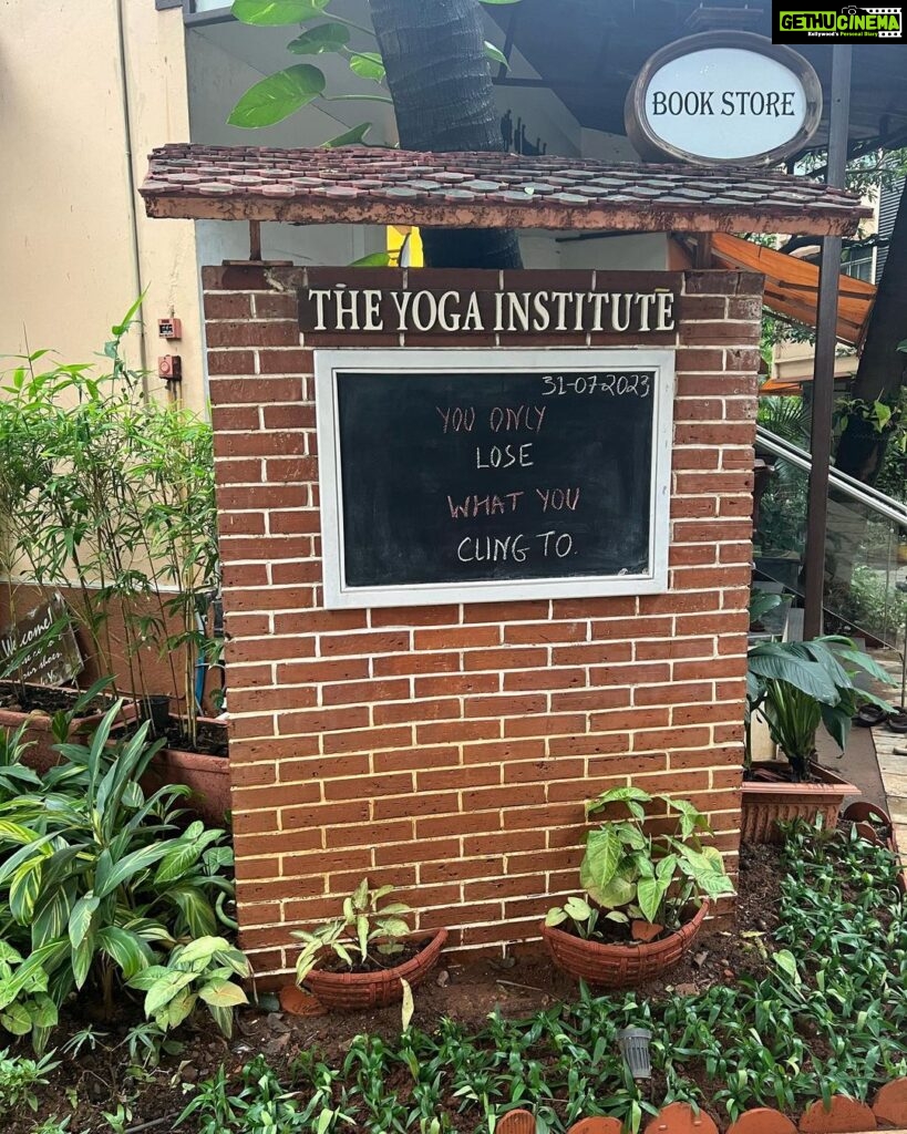 Nikita Dutta Instagram - July was a month when I was supposed to take a long vacation to switch off for a while. But I chose to address something that has been on my mind for a very long time. The timing seemed right and I signed up for the 200 hour teacher’s training course at @theyogainstituteofficial Last 30 days have been all about learning and unlearning. This includes going back to books to study, waking up early to practise and reflecting on each day. I have so much gratitude and joy to be recognised as a certified teacher from today onwards. While I get back to the chaos of this shooting life, I will try to carry this experience with me throughout. 😇🙏