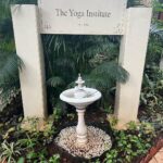 Nikita Dutta Instagram - July was a month when I was supposed to take a long vacation to switch off for a while. But I chose to address something that has been on my mind for a very long time. The timing seemed right and I signed up for the 200 hour teacher’s training course at @theyogainstituteofficial Last 30 days have been all about learning and unlearning. This includes going back to books to study, waking up early to practise and reflecting on each day. I have so much gratitude and joy to be recognised as a certified teacher from today onwards. While I get back to the chaos of this shooting life, I will try to carry this experience with me throughout. 😇🙏