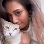 Nivetha Pethuraj Instagram – Because tigy deserves his ears to be eaten and to be on the grid #catsofinstagram