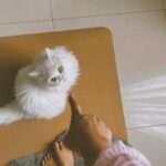Nivetha Pethuraj Instagram – Be 🤍