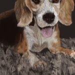 Pooja Devariya Instagram - Well, would you look at that…I can throw shade now! 😉🎨 #procreate #procreateart #NotAPro #shade #ipadprocreate #ipaddrawing #digitalart #digitaloilpainting #oilpainting