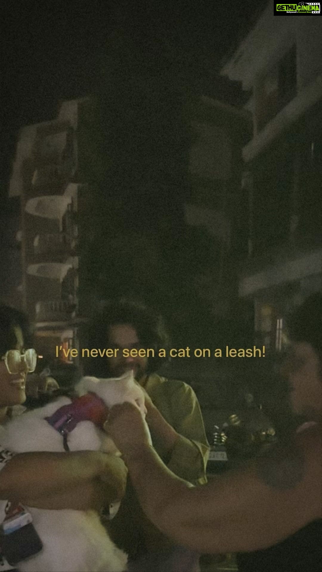Pooja Devariya Instagram - We had no idea Goa is: a) So severely pet friendly b) not just ‘pet friendly for dogs’ 🥲 c) truly inclusive This was Rumi’s first time attending workshops and observing installations with us. We were so overwhelmed with how much he enjoyed being a part of everything. Also, we weren’t prepared at all for the kind of attention he garnered! A big shout out to @serendipityartsfestival for truly being inclusive. Rumi watched his first play this trip :) Rumi’s travel buddies: @sumanthshetty_ @theshettykarthik et moi 🌸🐈 #meetmeatserendipity #travelcat #rumi #cats #catstagram #catsofinstagram #pawparent #catonaleash #adventurecat #explorer #pawparazzi #instacat #catoftheday #catback #catadventures #pet #adventurekitty #pettravel #petphotography #catvideos #takeyourcatoutside #yourcatbackpack #travelreels #travelfilm