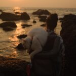 Pooja Devariya Instagram - Cat’s out of the bag! 🐈 🎒 We had another one of our “discovering what Rumi likes” moments, yesterday. You surprise us pleasantly, everytime, ru-ru. I love our companionship 🤍🌸✨🐾🌈♥️ #rumi #RumiSees #travel #travelcat #catsofinstagram #cats #beach #goa #incredibleindia #adventure #catadventures #sea ##coast #hike #trekking #outdoorcat #purr #pawnderlust #sunset Arambol