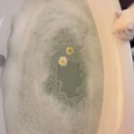 Pooja Devariya Instagram - Rumi was seeking a cleanse and blow dry I suppose 🛁 🤷🏾‍♀️ That squeaky clean wink at the end 🥹 #MischiefRumi #rumiquotes #turkishangora #cats #catbath #perfriendlyhotels #cat #catsofinstagram #catlife #catmemes Mumbai, Maharashtra