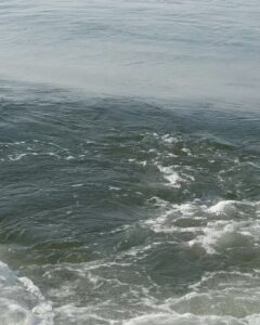 Pooja Devariya Instagram - Acknowledging another 365 days around the sun, another year of going with the flowwwww 🌊🏄🏾‍♀️☀️🏝️🐈🫧♾️🐠✨🌸🪐 Happy new year, beaches 🫧

#afloat