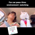 Pooja Devariya Instagram - #peoplewatching #IRLscrolling #RumiAndPooj