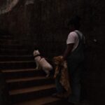 Pooja Devariya Instagram - We likey rocks and mud and streams 🐾🌸🏞️🪨🛖 #rumi #explore #catsofinstagram #catsdaily #pettravel #travelcat #stream #karnataka #incredibleindia #fuji #fujix100v #fujifilm #fujifilmindia #catlife #cat #paw #fujianalog Western Ghats