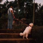 Pooja Devariya Instagram - We likey rocks and mud and streams 🐾🌸🏞️🪨🛖 #rumi #explore #catsofinstagram #catsdaily #pettravel #travelcat #stream #karnataka #incredibleindia #fuji #fujix100v #fujifilm #fujifilmindia #catlife #cat #paw #fujianalog Western Ghats