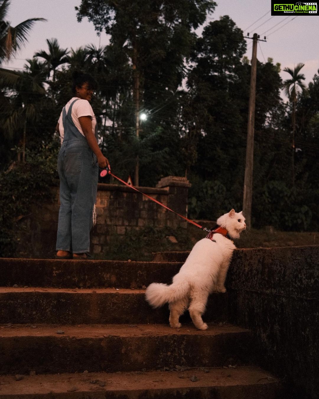 Pooja Devariya Instagram - We likey rocks and mud and streams πΎπΈποΈπͺ¨π #rumi #explore #catsofinstagram #catsdaily #pettravel #travelcat #stream #karnataka #incredibleindia #fuji #fujix100v #fujifilm #fujifilmindia #catlife #cat #paw #fujianalog Western Ghats
