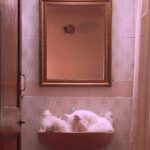 Pooja Devariya Instagram - King of good times. 🛁🫧🐈🌸 📍Another Basin #chillinlikeavillain #SastaJacuzi Goa