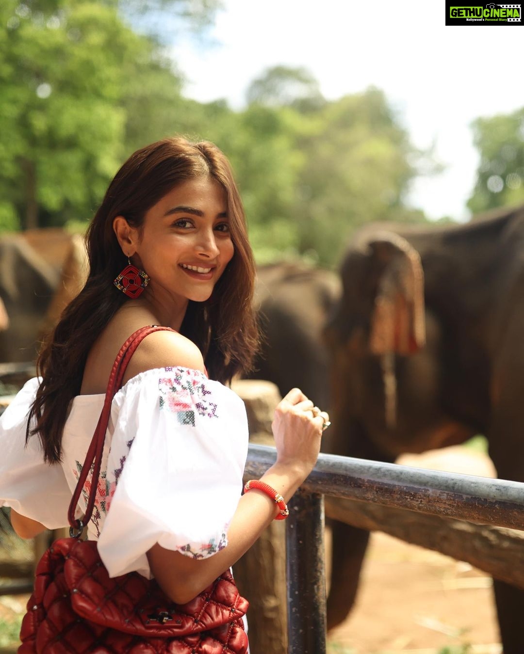 Pooja Hegde Instagram - Just some randomness ✌🏼