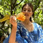 Pooja Hegde Instagram - A quick trip to Mangalore and a quick hunt for pejakai 🏠❤️
