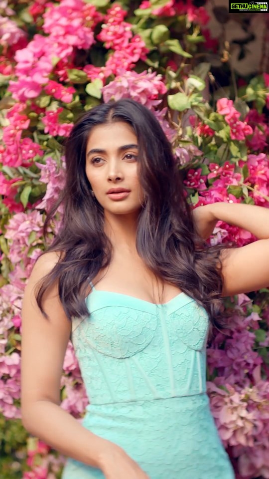 Pooja Hegde Instagram - FOREVER NEW X POOJA HEGDE Experience a moment of sheer beauty with our brand ambassador @hegdepooja as she graces the spotlight in our newly launched Gracie Lace Corset Bodycon Dress 🌸Forever Summer 🌸 Embrace laidback luxe styles with a new collection of breezy dresses and flattering details. Now live in-store and on www.forevernew.co.in. . . . #ForeverSummer #forevernew #forevernewindia #newcollection #forevernewstyles #SpringSummer23 #forevernewxpoojahegde