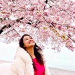 Pooja Jhaveri Instagram - The first cherry blossom experience ! And it was just like this video… dreamy and surreal ! Though it was cloudy, rainy and there were a bunch of tourist, my experience wasn’t ruined by anything. We walked around 4000 steps all the way up till the #jeffersonmemorial and I would say it was totally worth it ! Tip : Go early in the morning (you’ll meet less crowd and you can also catch the beautiful sunrise 😍) #cherryblossom #washingtondc #tourist #touristrythings #travelwithme #dc #dmv #tourism #dctourist #dcguide #traveller #photography