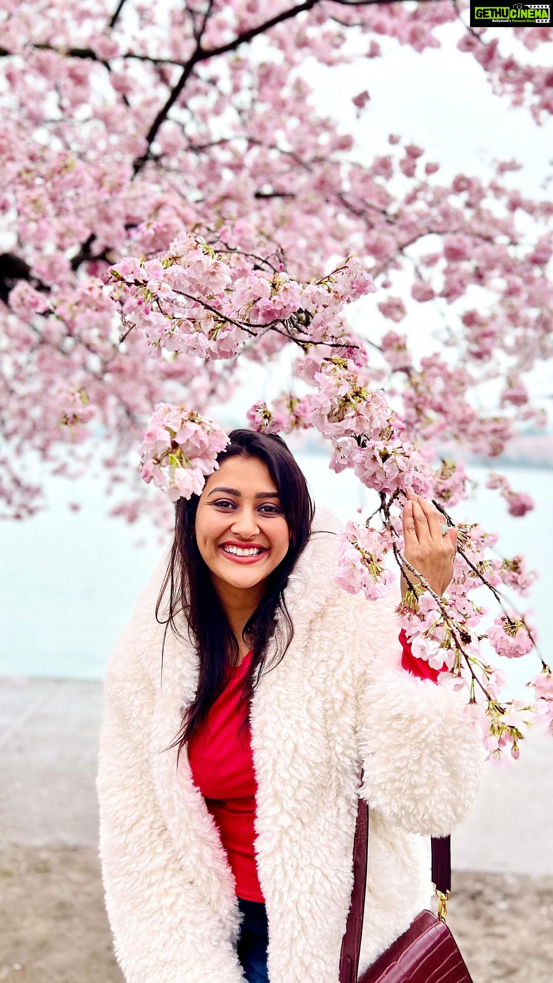 Pooja Jhaveri Instagram - #ugadhi 2023 ! This is how it went :) π : @ri_ritukumar #grwm #indianoutfit #dressup #stylewithme #traditional #indianoutfit #desi #trendingaudio #trendingreels #trendingfashion #trending #teluguammayi #telugu #teluguactress #teluguinusa #southasianfashion #desifashion #usa #newyork #newjersey #telugusofnyc