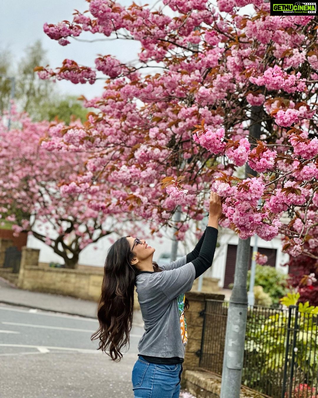 Pooja Sawant Instagram - Ufff β¦this cherry blossom πΈ ππππΈ Inverness, Scotland, UK