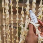 Pragathi Guruprasad Instagram - celebrate my birthday with us & take 20% off sitewide at @somaayurvedic using code “PRAGATHI” 🌿