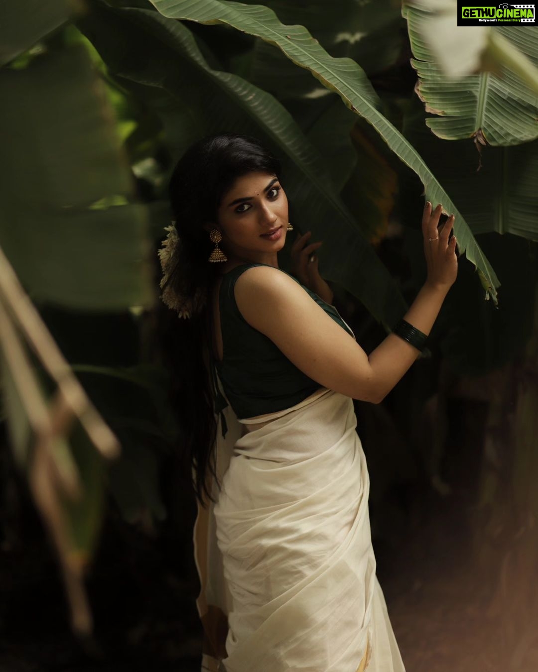 Pragya Nagra Instagram - ഈ ഓണം നിങ്ങള്ക്ക് സന്തോഷവും ഭാഗ്യവും നല്കട്ടെ. ഏവര്ക്കും ഓണാശംസകള് 🌺✨️ PC @sat_narain 📷 Outfit: @devyash_designs 🥻 Makeup: @makeup_bhavani💄 Hairstylist @preethig_hairstylist_ 💃🏻 #onam #kerala #onamcelebration #keralagram #onamspecial #happyonam #india #malayali #instagram #keralasaree #keralatourism #mallu #mallugirl #onamsadhya #malayalam #kochi #keralafood #keralagodsowncountry #onamsaree #festival #onamfestival #instagood #onamvibes #traditional #keralam #keralaattraction #entekeralam