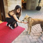 Pranutan Bahl Instagram - 🐕- “ who is this girl and why is she obsessed with me” 👧 - 🥺♥️