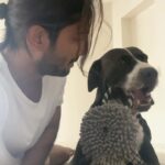 Prateik Babbar Instagram - it’s chico’s world.. we’re just living in it.. 🩶♾️ Chico's Home