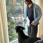 Prateik Babbar Instagram - all dawgs go to heaven ♾️
