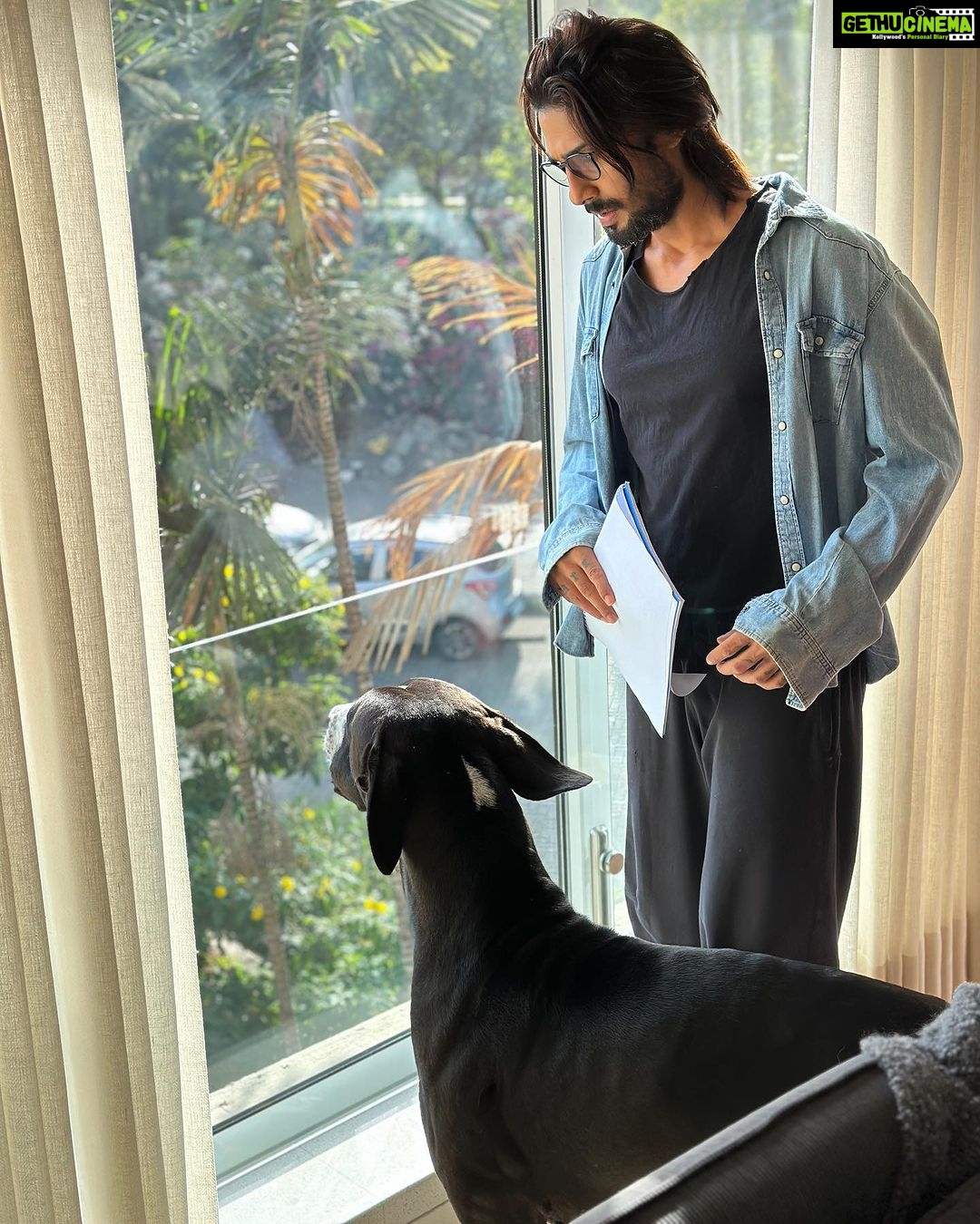 Prateik Babbar Instagram - all dawgs go to heaven ♾️